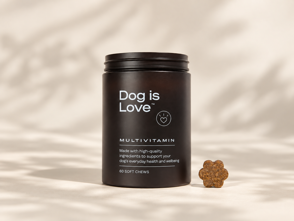 DW-01™ Daily Wellness Multivitamin