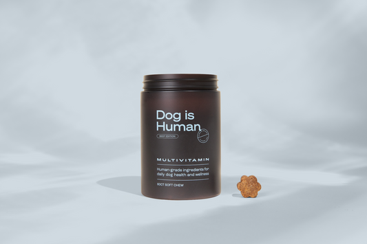 DW-01™ Daily Wellness Multivitamin – Beef