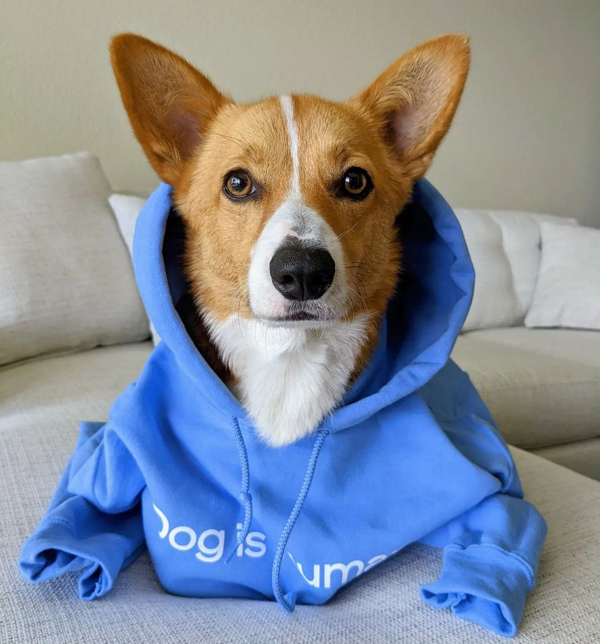 Dog is Love™ Blue Hoodie