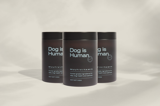 DW-01™ Daily Wellness 3-Pack